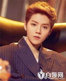 鹿晗反面爆料视频合集在线观看,反面爆料视频合集深度解析  第3张